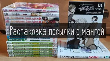 Распаковка посылки с мангой|xl media